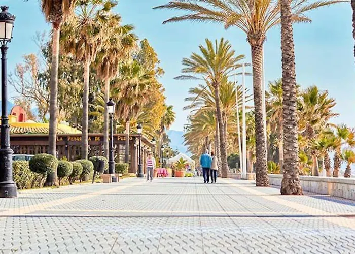 Lejlighed Spacious And Centrally Located In San Pedro De Alcantara *